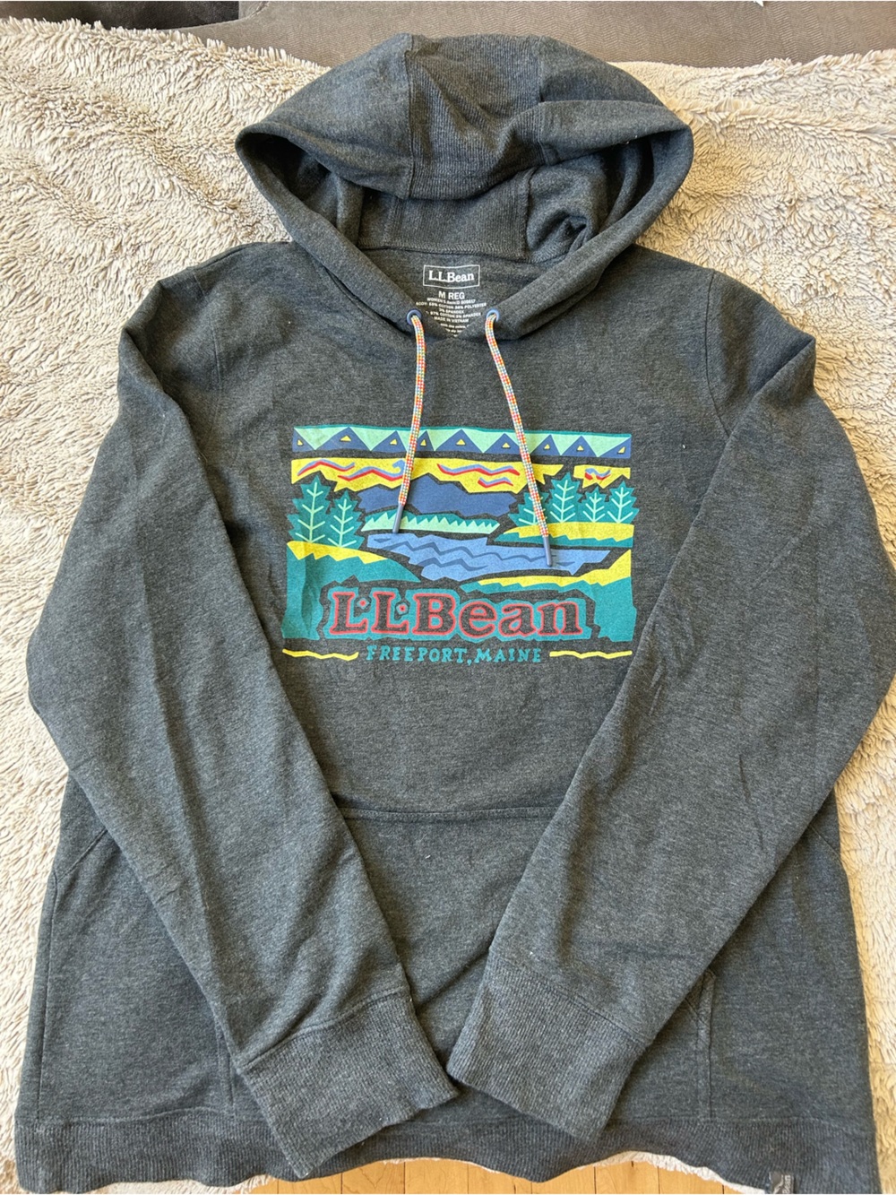 L.L. Bean Cozy Camp Graphic Hoodie